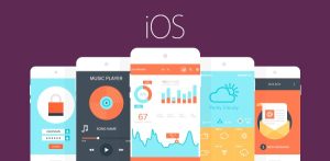 Curso de introdução ao desenvolvimento iOS -bidam